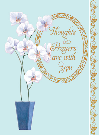 Thoughts and Prayers - Orchids
