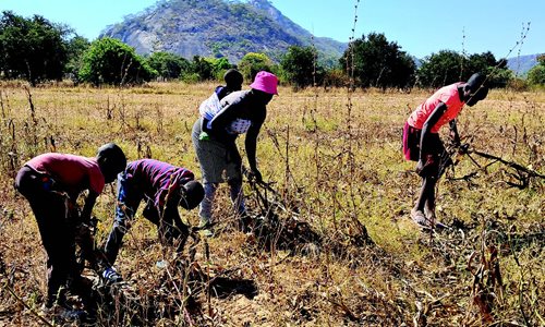 Famine Struck Zimbabwe