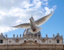 the Holy Spirit's guidance in the election of our new pope.