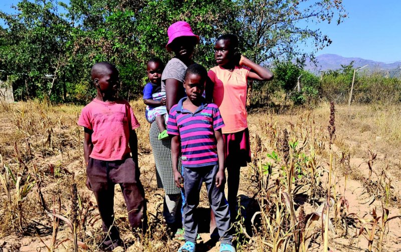 Famine-Struck Zimbabwe
